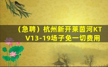 来宾酒吧招聘
